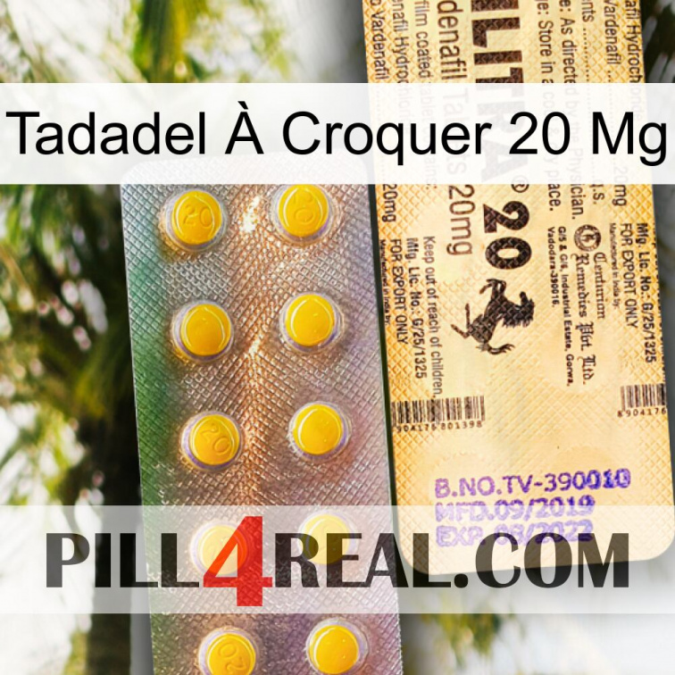 Tadadel À Croquer 20 Mg new06